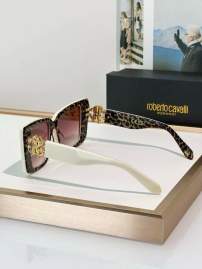 Picture of Roberto Cavalli Sunglasses _SKUfw69699347fw